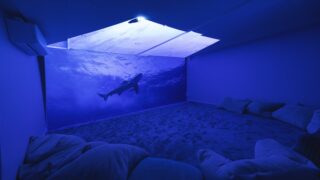 Dark room with beanbags and cinema screen with shark swimming