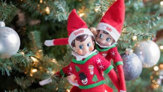 Buddy and Judy Elf on the Shelf in a tree