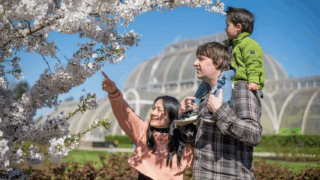 Blossom at Kew Gardens with a family