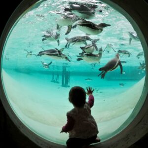 London Zoo KidRated review baby toddler friendly